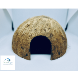 Tane di cocco naturale medium