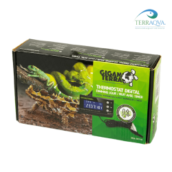Digital Dimmable Day/Night Thermostat | Online Sale | TERRAQUA