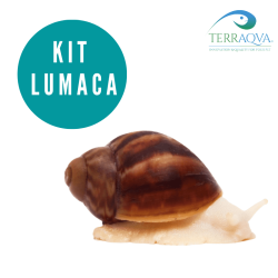 Giant snail kit complete for sale.png