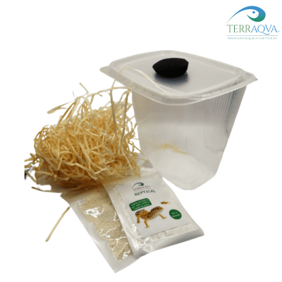 Kit completo allevamento drosophile 500ml.png
