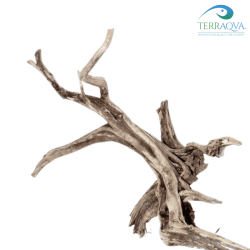Blackwood root for aquarium and terrarium.png