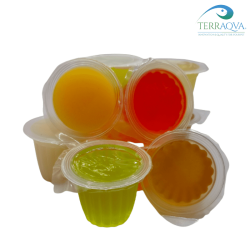 Jellypot - Mixed Tastes | Online Sale | TERRAQUA