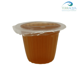 Jellypot - Brown sugar flavour | Online Sale | TERRAQUA