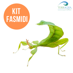 Stick insect kit.png