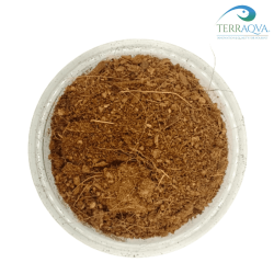 FINE - Coconut Fiber | Online Sale | TERRAQUA