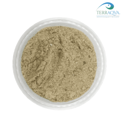 Fine Sand for deserted terraries - 5 Kg | Online Sale | TERRAQUA