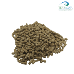 Food for Ornamental and Feeder Roaches | Online Sale | TERRAQUA