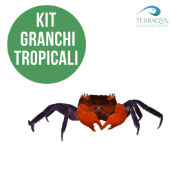Bioactive Tropical Crab Kit.png