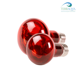 Infrared heat lamp Reptech for reptiles | Buy Now | TERRAQUA
