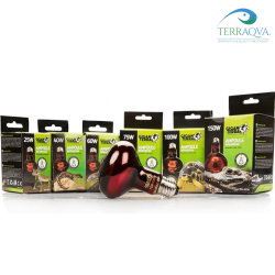 Infrared heat lamp Giganterra for reptiles | Buy Now | TERRAQUA