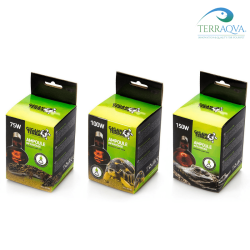 Infrared heat lamp Giganterra for reptiles | Buy Now | TERRAQUA