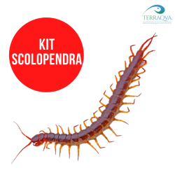 Kit SCOLOPENDRA, vendita online.png