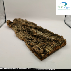 Cork Ramp | Online Sale | TERRAQUA