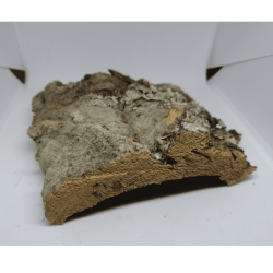 Cork Ramp | Online Sale | TERRAQUA