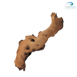 Mopani wood, for terrarium and aquarium for sale.png