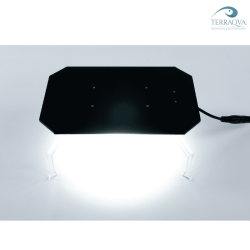 Skylight MIDSPOT for sale.png