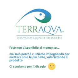 Axofeed - Pellet for axolotl - 150 Gr | Online Sale | TERRAQUA