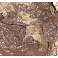 Terra Rockoflex, rivestimento arredi naturali in terrario