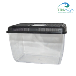 Terra Exotica Fauna box | Buy Now Online | TERRAQUA