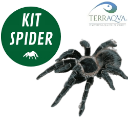 Kit SPIDER Medium bioattivo.png