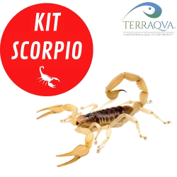 Bioactive Scorpio Medium Kit | Buy Now Online | TERRAQUA
