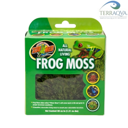 Leucobrium Glaucum 'Frog Moss' - Zoomed.png