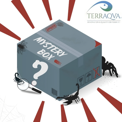 Mystery Box Tarantola/Scorpione.png