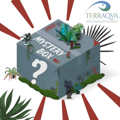 Mystery Box Piante Tropicali.png