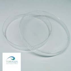 Petri dish for sale.png