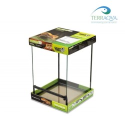 Glass Terrarium 30x30x45 | Online Sale | TERRAQUA