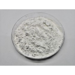 ReptiCal - Pure Powdered Calcium - 1 Kg | Online Sale | TERRAQUA