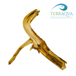 Redwood root for sale.png
