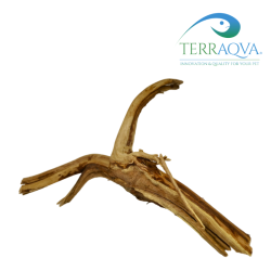 Red Wood Root | Online Sale | TERRAQUA