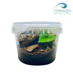 Sling Starter Kit | Online Sale | TERRAQUA