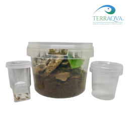 Sling Starter Kit | Online Sale | TERRAQUA