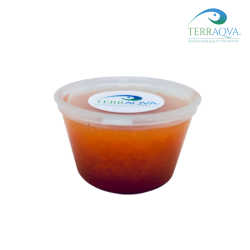 Jellypot - Carrot Flavour | Online Sale | TERRAQUA