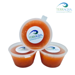 Jellypot - Carrot Flavour | Online Sale | TERRAQUA