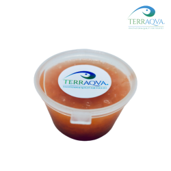 Jellypot - Carrot Flavour | Online Sale | TERRAQUA