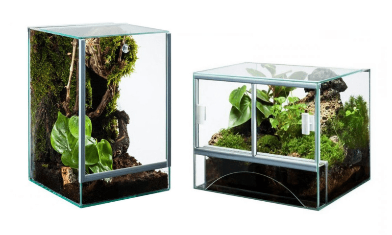 GLASS TERRARIUM